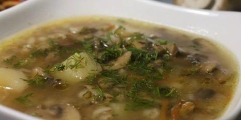 Gruzdyanka: recepti od svježih šampinjona sa šargarepom, mesom, u laganom šporetu